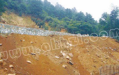 �Vɽ���|(zh��)��(z��i)�����顢�u(p��ng)���c����